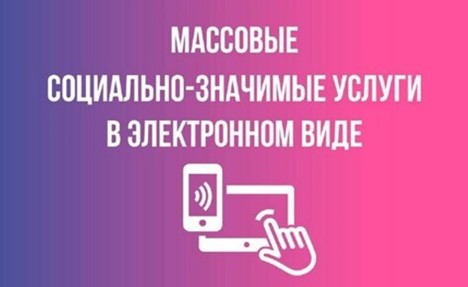 Массовые социально значимые услуги в электронном виде.