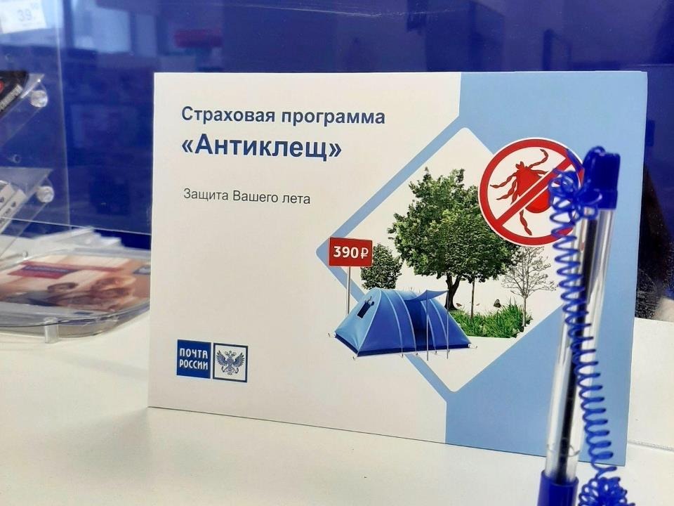 Жители Новгородской области могут застраховаться от укусов клещей в почтовых отделениях.