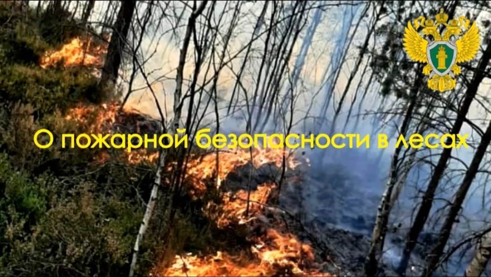 О пожарной безопасности в лесах.